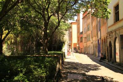 Arbre et ombrage dans une rue de Lyon en été