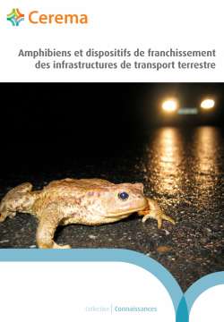 Amphibiens et dispositifs de franchissement des infrastructures de transport terrestre