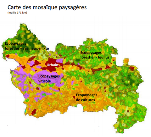 Carte des écopaysages du SCoT de Bergerac