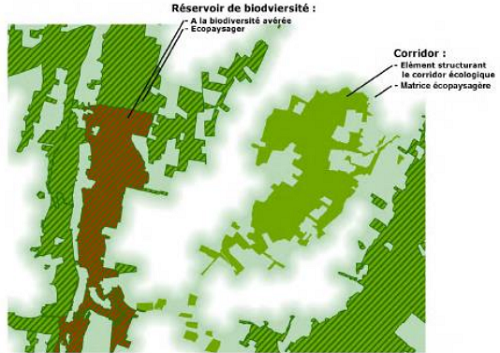 Schéma des réservoirs de biodiversité et des corridors