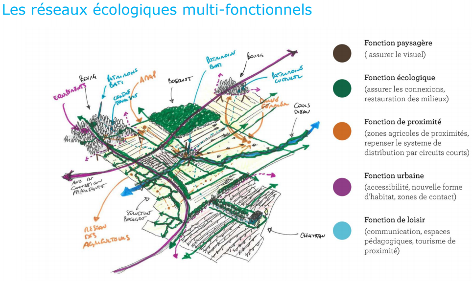 Schéma d'un réseau écologique multifonctionnel: plan d'un site dessiné avec les différentes fonction des différents lieux