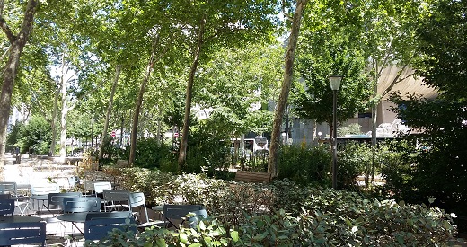 Rue Garibaldi à Lyon: vue des arbres depuis une terrasse