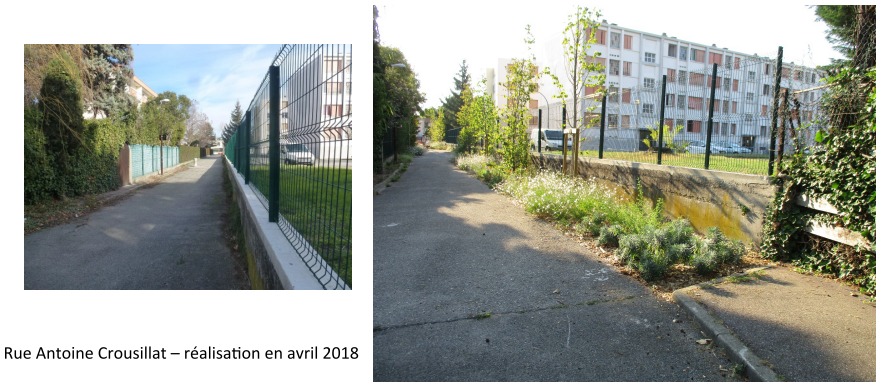 Exemple de projet : végétalisation et aménagement paysager d'une rue