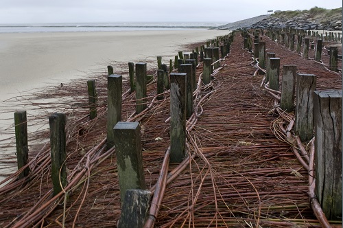 Dispositif anti-erosion en baie d'Authie sur la côte d'Opale