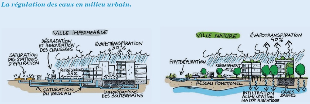 La régulation des eaux en milieu urbain
