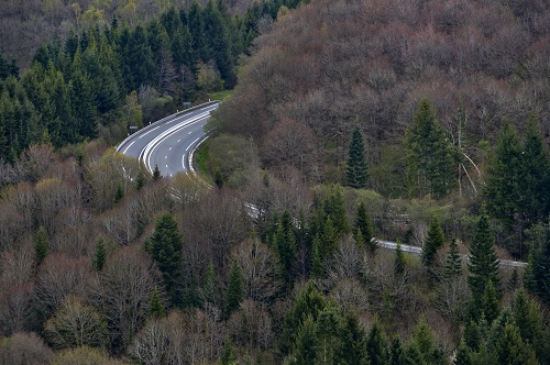 Vue aérienne d'une route au milieu d'une forêt