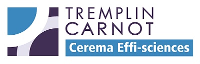 Logo Cerema Effi-Sciences