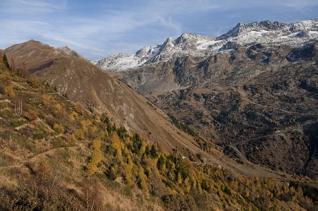 Vue d'un flanc de montagne avec des arbres et des systèmes paravalanche, en automne