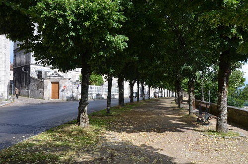 Allée bordée d'arbres à Angouleme