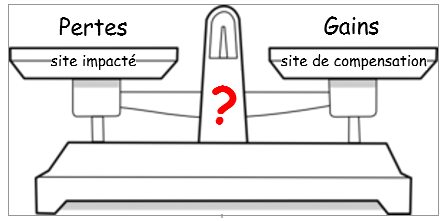 schéma d'une balance avec les pertes et les gains de chaque coté