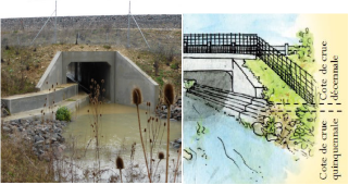 Banque unique ou à gradins