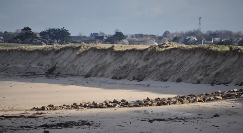 Plage dans les Côtes d'Armor avec une dune bien entamée par la mer