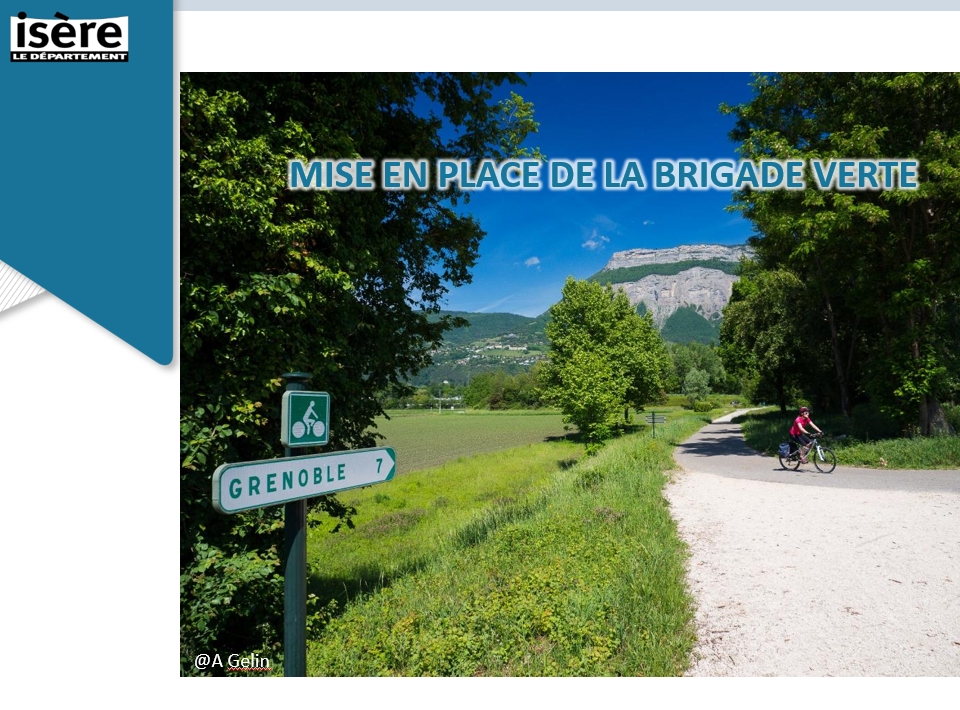 brigade verte