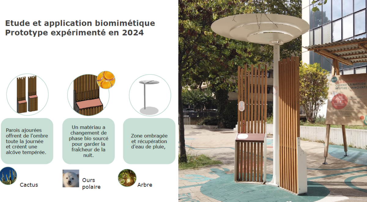 Prototype biomimétique