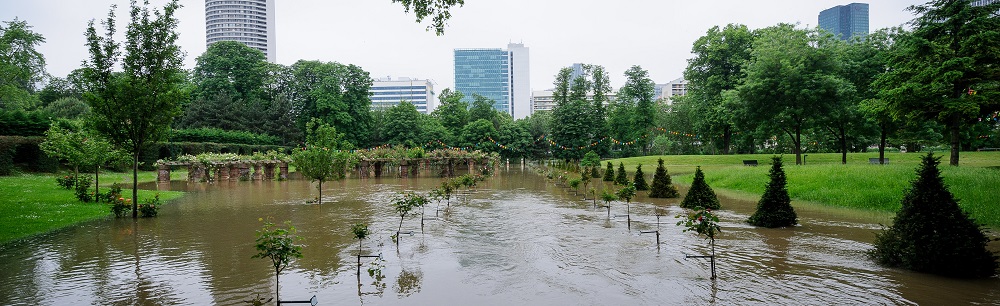 vue d'un parc inondé en région parisienne