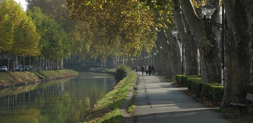 canal du midi à Toulouse, bordé de grands arbres