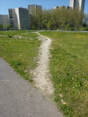 chemin fait par les gens dans l'herbe en prenant un raccourci