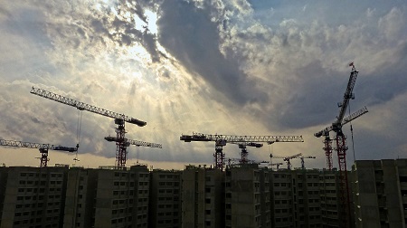 grues