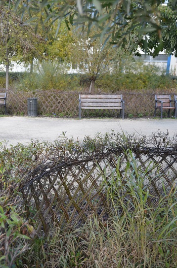 Place Lucie AUbrac, vue de la végétation