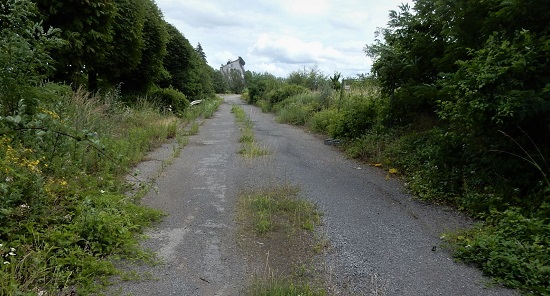 vue d'une vieille route au milieu de végétation basse