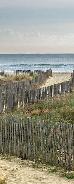 dunes en reconstruction