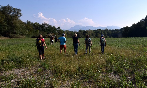 vue du parc nature (prairie) lors de la visite