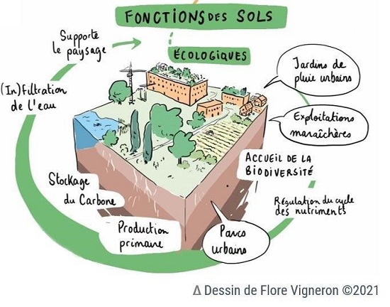 Schéma des 5 grandes fonctions des sols