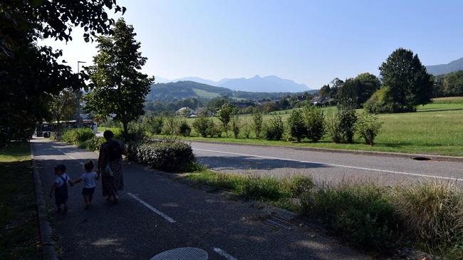 VUE D'UN trottoir et d'une route bordés DE HAIEs vives