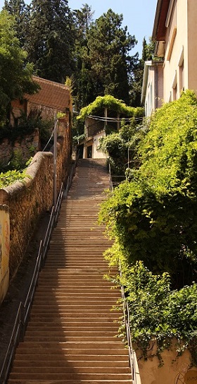 Escalier d'une colline de Lyon bordé verdure