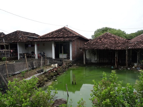 Habitations impactées par la montée des eaux et la subsidience à Semarang