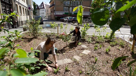 Espace végétalise dans une rue de Strasbourg avec deux personnes ent rain de jardiner