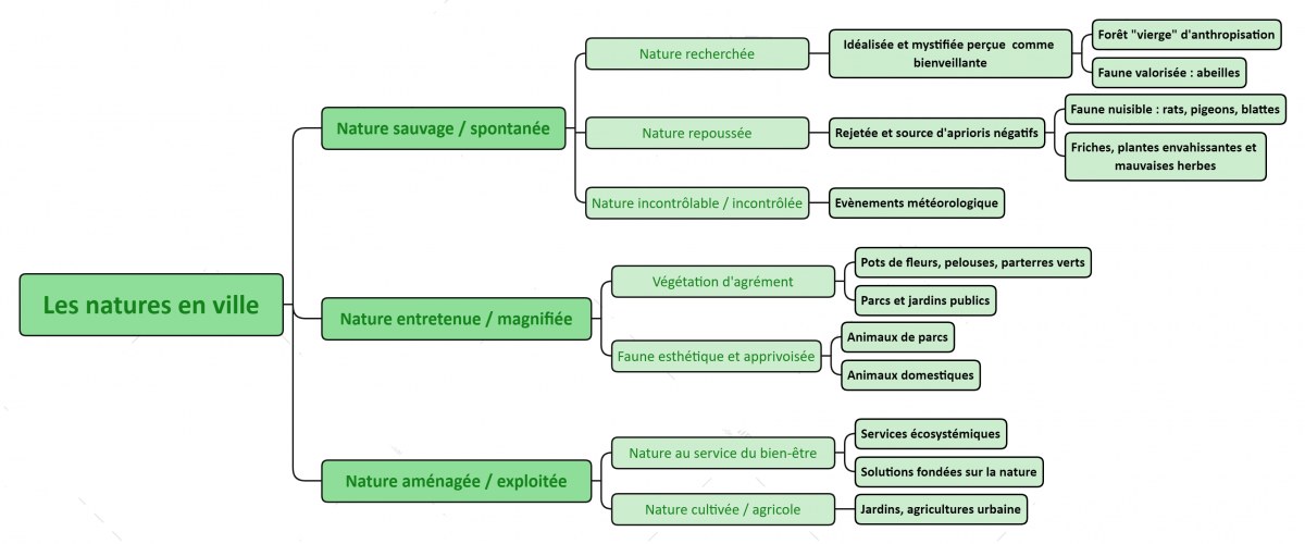 Typologie des natures en ville