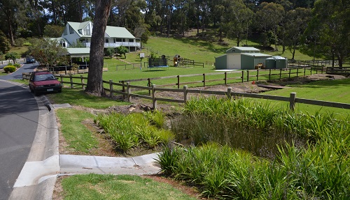 Jardin de pluie dans un espace vert en Australie