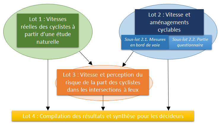organisation du projet