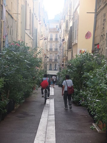 Rue piétonne végétalisée avec des plantes vertes par les habitants à Marseille