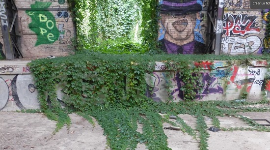 Végétation poussant sur un mur avec des graffitis