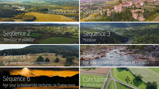 Schema des 6 sequences