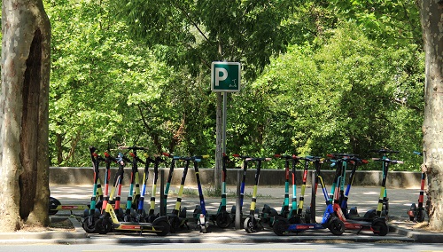 trottinettes garées à Lyon sous des arbres