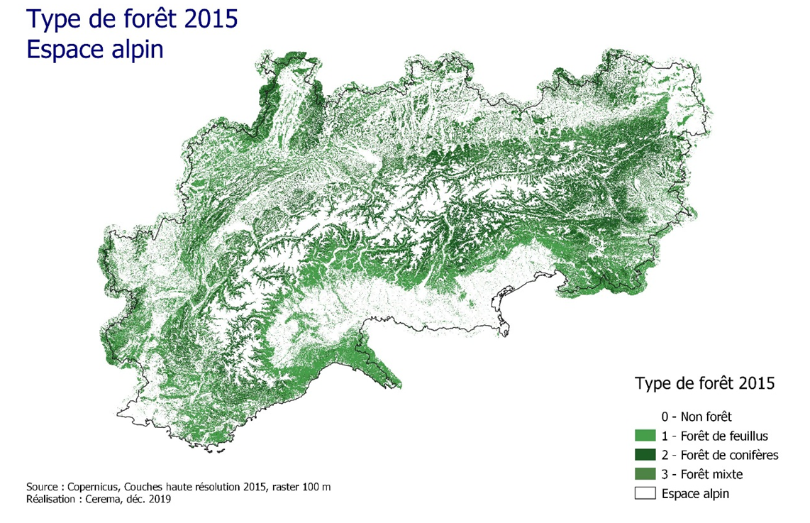 Carte qui montre les zones de foret feuillues, conifères et mixtes