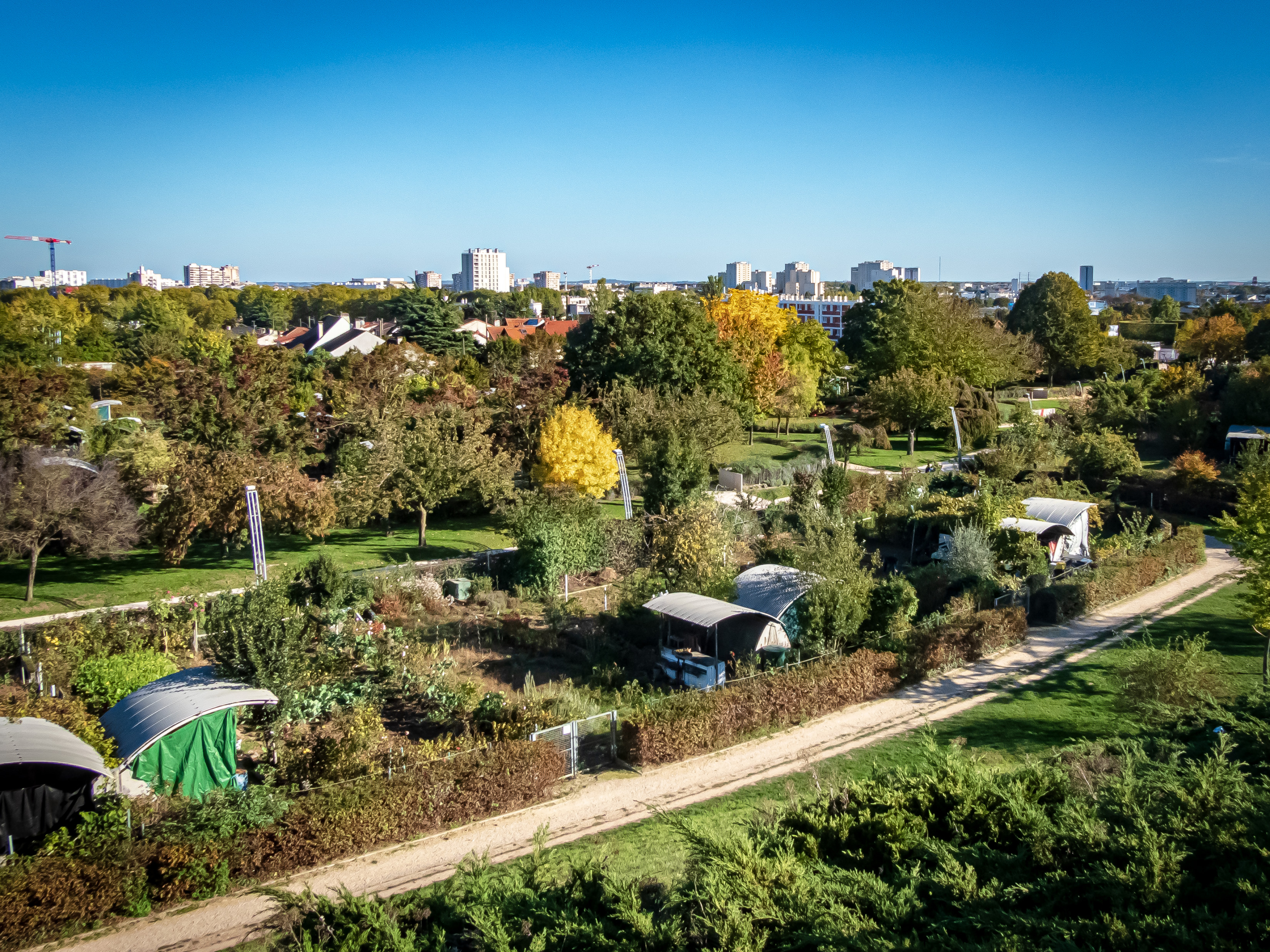 parc_departemental_des_hautes-bruyeres_j