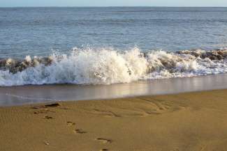 Bord de mer