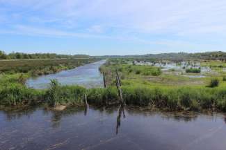 vue prise depuis la réserve naturelle du Marais d'Orx