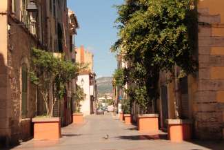 Végétalisation du centre-ville de La Seyne sur mer