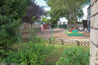 Cour d'école végétalisé