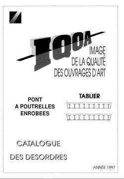 IQOA : tablier du pont à poutrelles enrobées - Catalogue des désordres