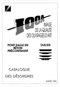 IQOA : tablier du pont-dalle en béton précontraint - Catalogue des désordres