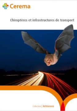 Chiroptères et infrastructures de transport.