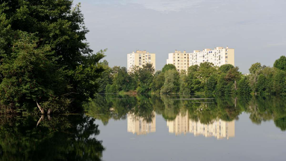 Reflets sur le Lac de Gassicourt - éco système en milieu urbain
