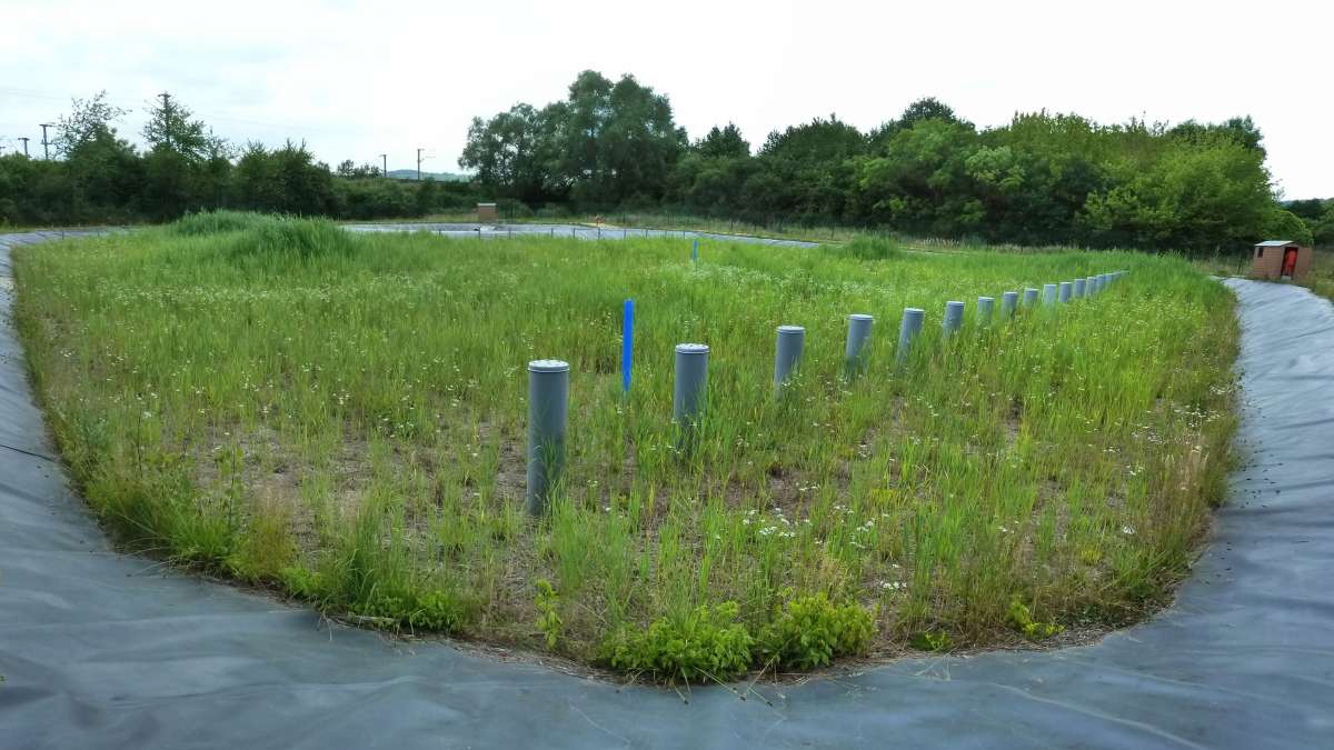 filtres plantés de roseaux pour la gestion des eaux pluviales