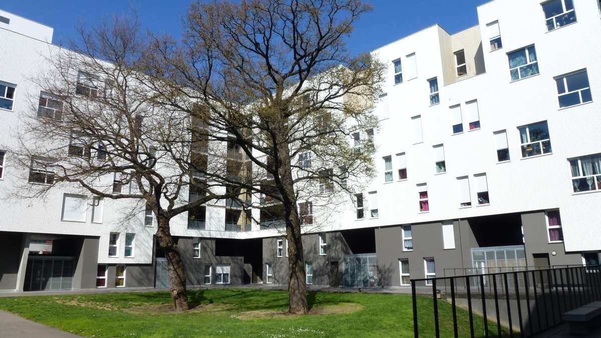 Arbres préservés lors d'une opérations de construction à la Courrouze à Rennes